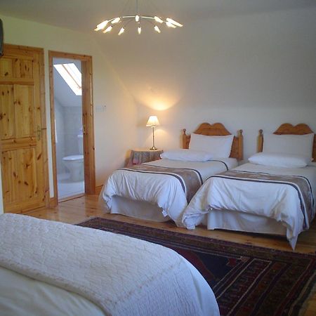 Forest Park House B&B Bunclody Ngoại thất bức ảnh