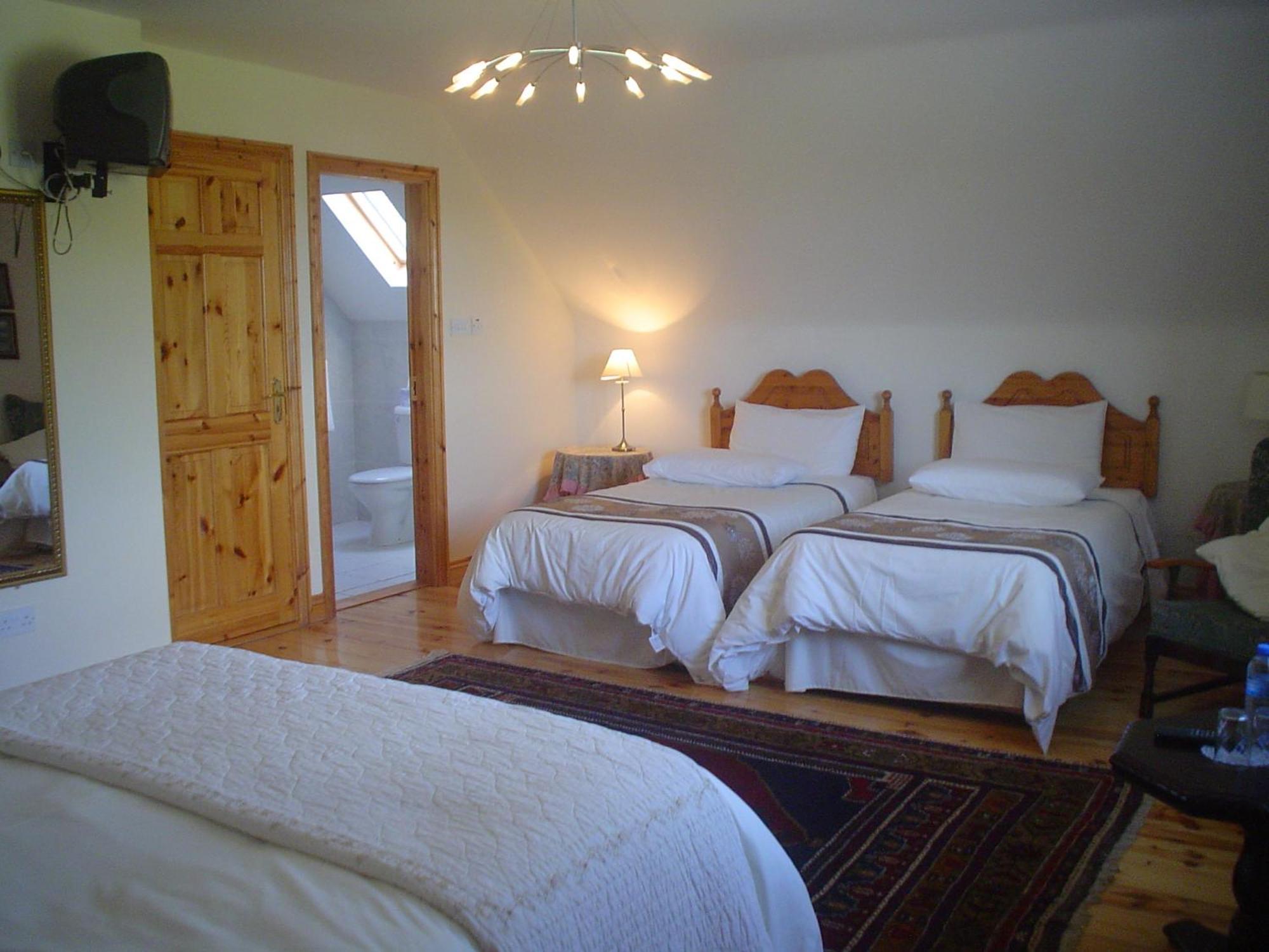 Forest Park House B&B Bunclody Ngoại thất bức ảnh