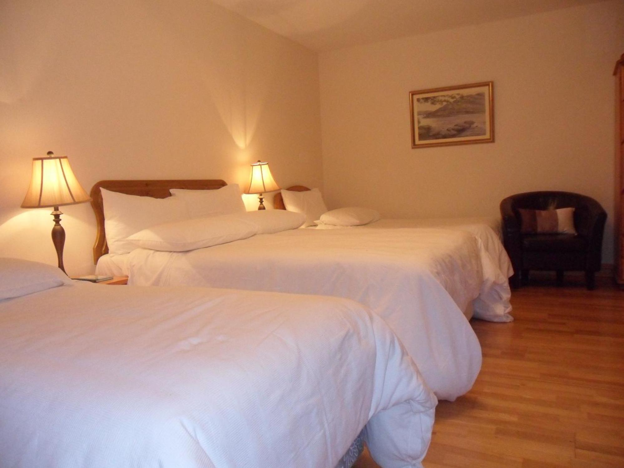 Forest Park House B&B Bunclody Ngoại thất bức ảnh