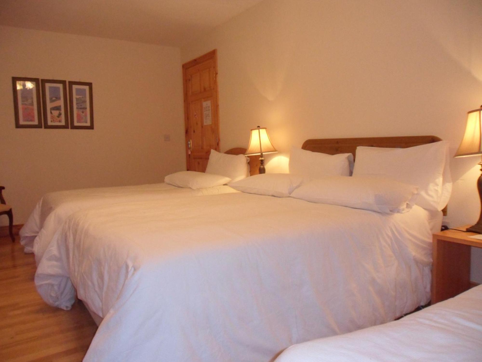 Forest Park House B&B Bunclody Ngoại thất bức ảnh
