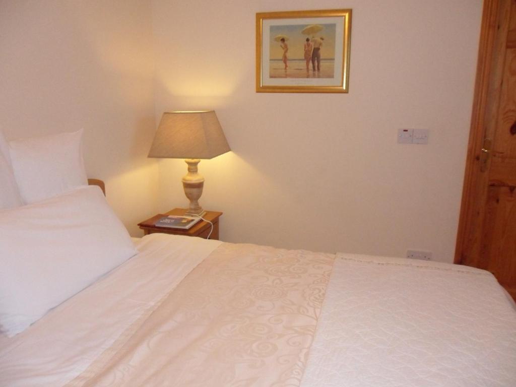 Forest Park House B&B Bunclody Ngoại thất bức ảnh