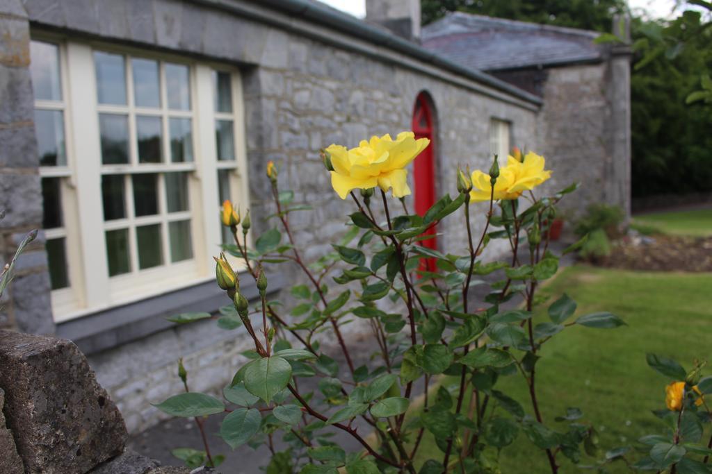 Forest Park House B&B Bunclody Ngoại thất bức ảnh