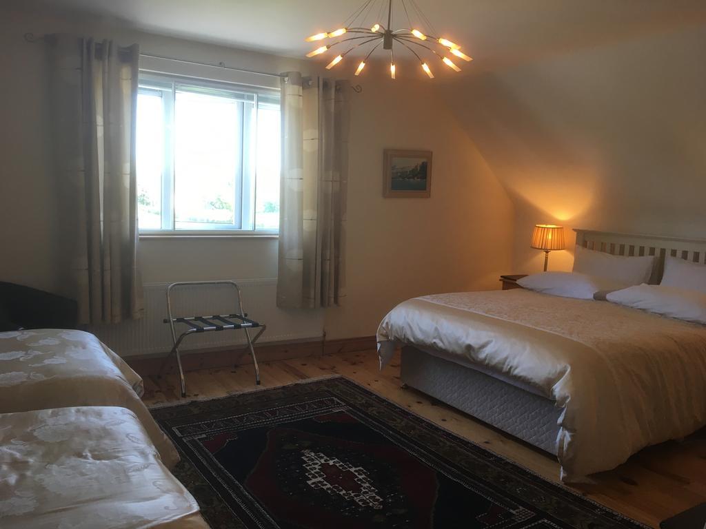 Forest Park House B&B Bunclody Ngoại thất bức ảnh