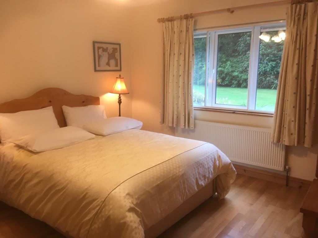 Forest Park House B&B Bunclody Ngoại thất bức ảnh