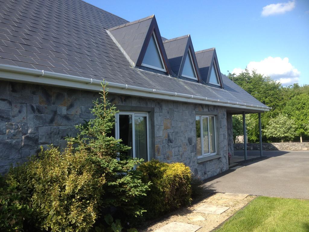 Forest Park House B&B Bunclody Ngoại thất bức ảnh